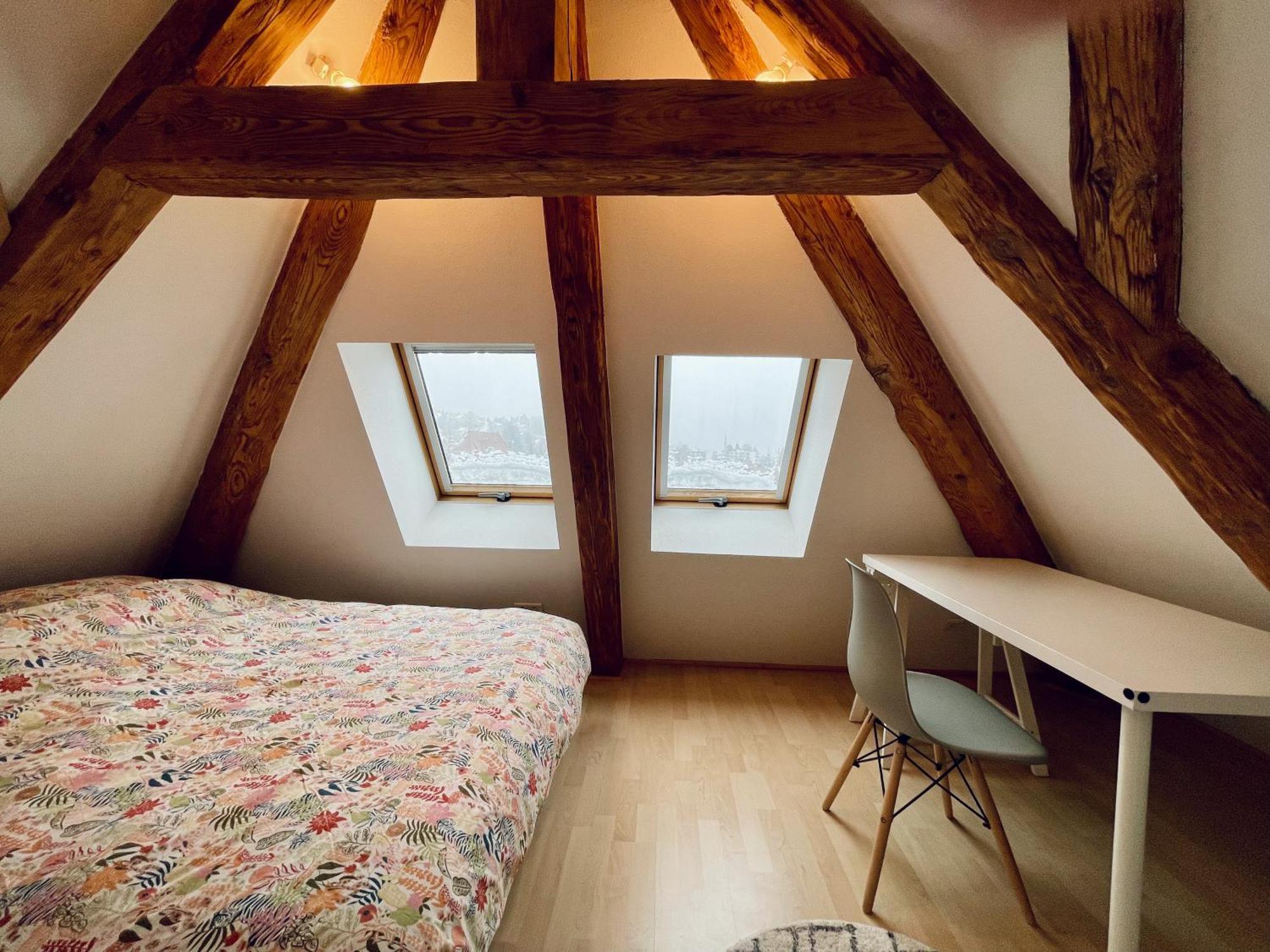 Sainte-Suzanne Duplex + Parking Gratuit Facileアパートメント エクステリア 写真
